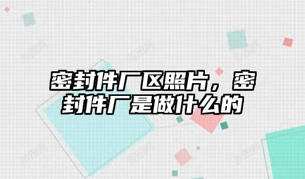 密封件廠區(qū)照片，密封件廠是做什么的