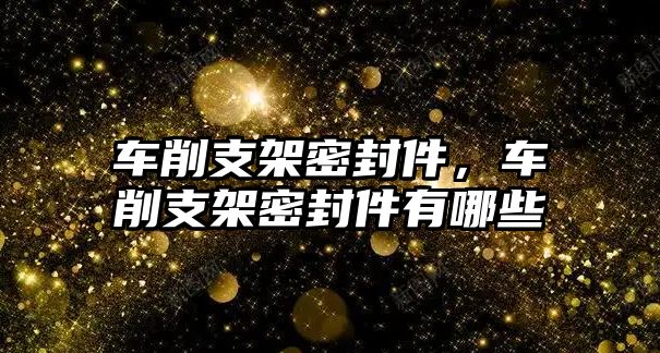 車削支架密封件，車削支架密封件有哪些