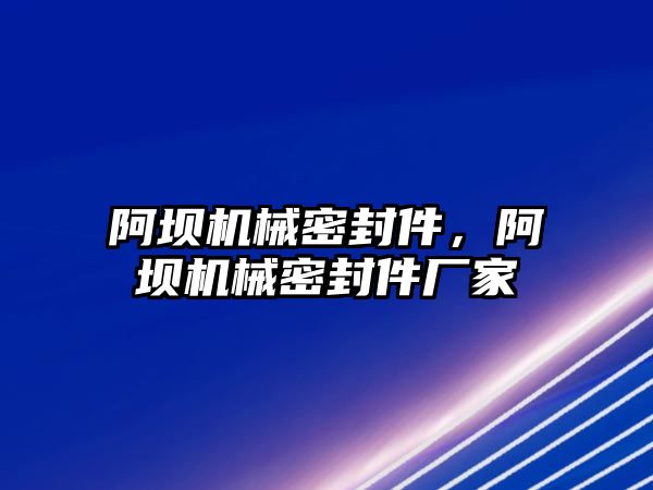 阿壩機械密封件，阿壩機械密封件廠家