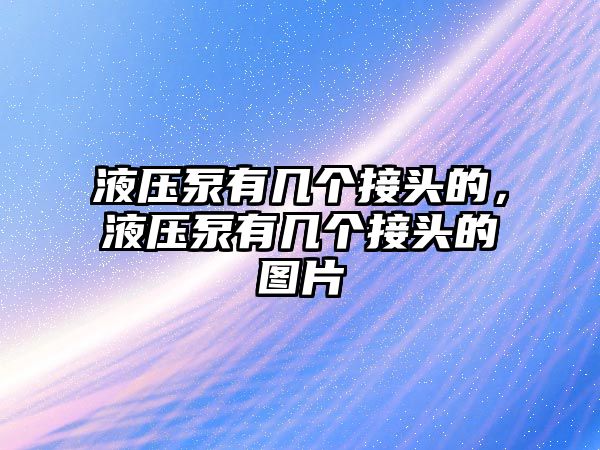 液壓泵有幾個(gè)接頭的，液壓泵有幾個(gè)接頭的圖片