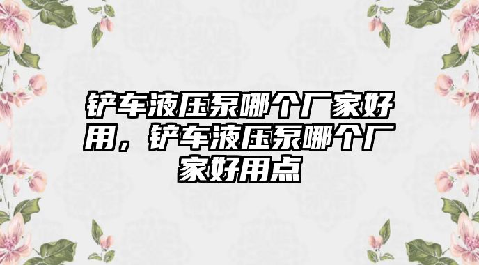 鏟車液壓泵哪個廠家好用，鏟車液壓泵哪個廠家好用點