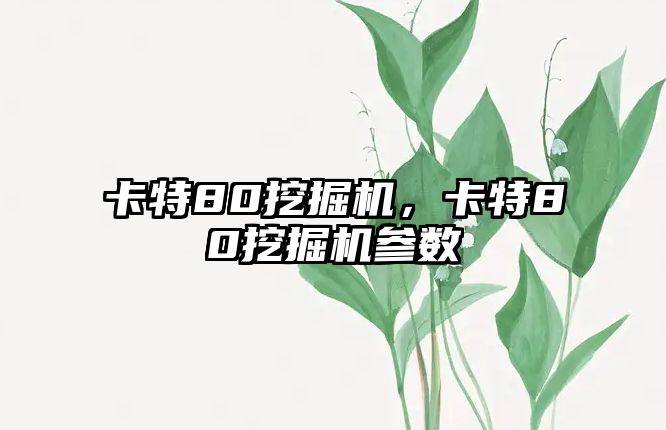 卡特80挖掘機，卡特80挖掘機參數(shù)