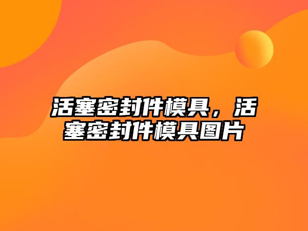 活塞密封件模具，活塞密封件模具圖片