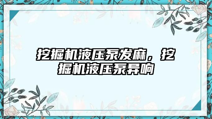 挖掘機液壓泵發(fā)麻，挖掘機液壓泵異響