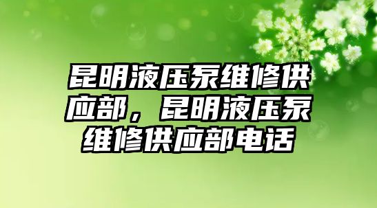 昆明液壓泵維修供應(yīng)部，昆明液壓泵維修供應(yīng)部電話