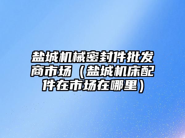 鹽城機械密封件批發(fā)商市場（鹽城機床配件在市場在哪里）