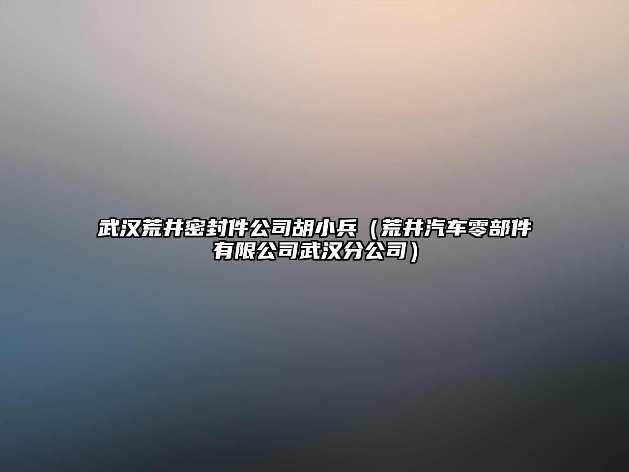 武漢荒井密封件公司胡小兵（荒井汽車零部件有限公司武漢分公司）