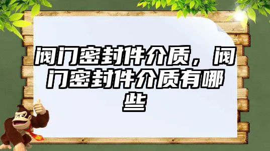 閥門密封件介質(zhì)，閥門密封件介質(zhì)有哪些