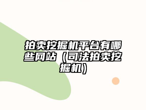 拍賣挖掘機(jī)平臺(tái)有哪些網(wǎng)站（司法拍賣挖掘機(jī)）