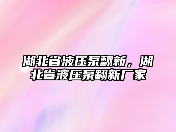 湖北省液壓泵翻新，湖北省液壓泵翻新廠家