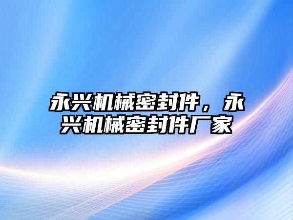 永興機械密封件，永興機械密封件廠家