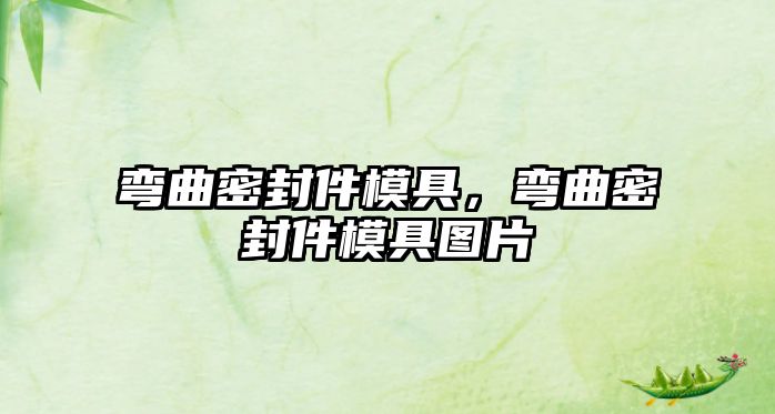 彎曲密封件模具，彎曲密封件模具圖片