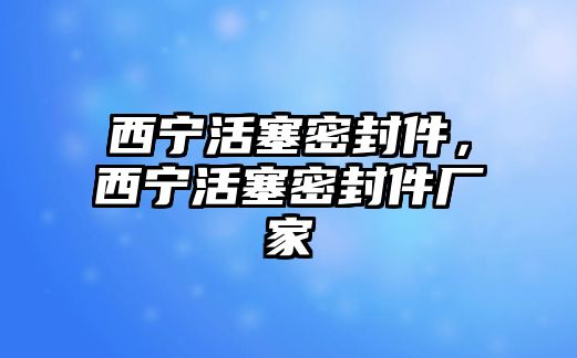 西寧活塞密封件，西寧活塞密封件廠家