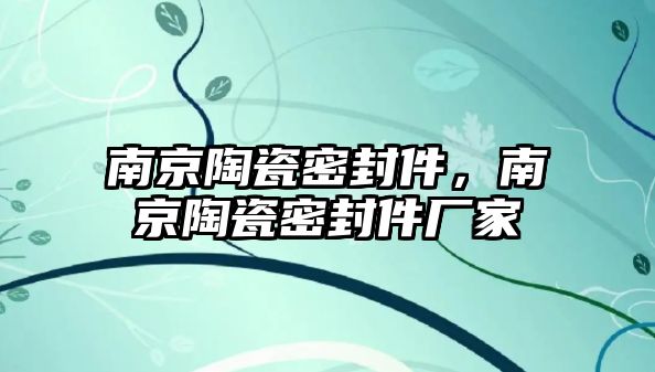 南京陶瓷密封件，南京陶瓷密封件廠家