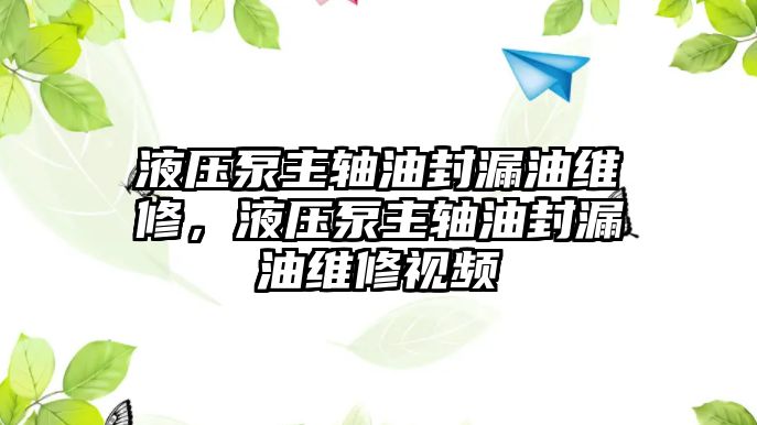 液壓泵主軸油封漏油維修，液壓泵主軸油封漏油維修視頻