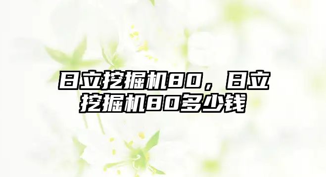 日立挖掘機(jī)80，日立挖掘機(jī)80多少錢