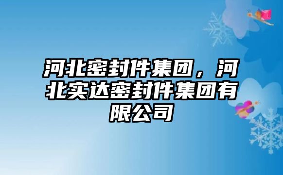 河北密封件集團，河北實達密封件集團有限公司