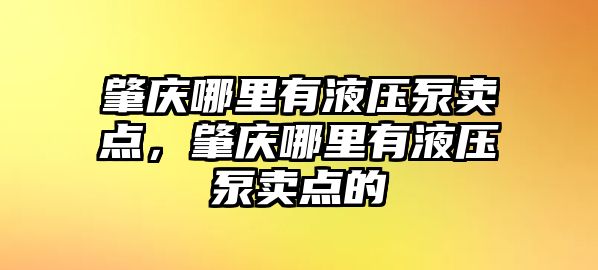 肇慶哪里有液壓泵賣點(diǎn)，肇慶哪里有液壓泵賣點(diǎn)的