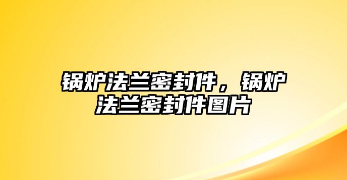 鍋爐法蘭密封件，鍋爐法蘭密封件圖片