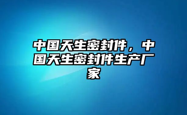 中國天生密封件，中國天生密封件生產(chǎn)廠家