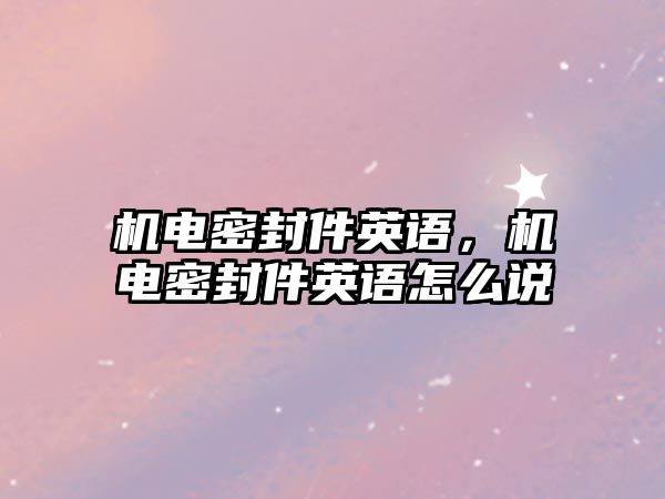 機(jī)電密封件英語，機(jī)電密封件英語怎么說