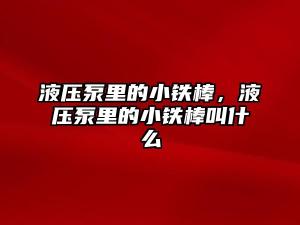 液壓泵里的小鐵棒，液壓泵里的小鐵棒叫什么