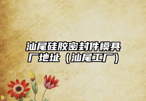 汕尾硅膠密封件模具廠地址（汕尾工廠）