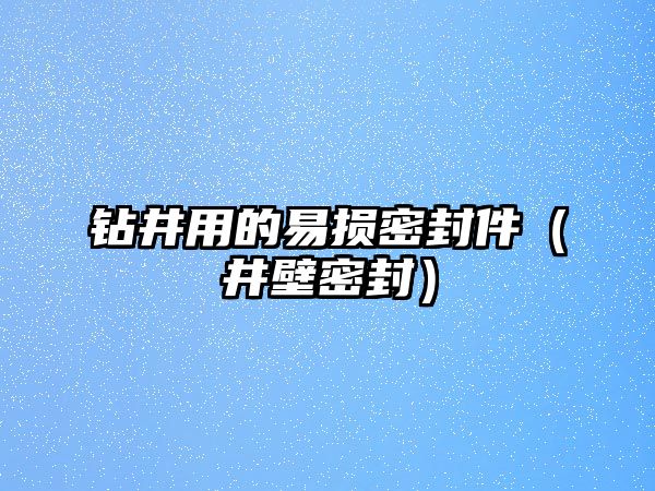 鉆井用的易損密封件（井壁密封）