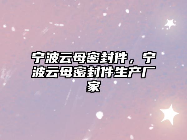 寧波云母密封件，寧波云母密封件生產廠家