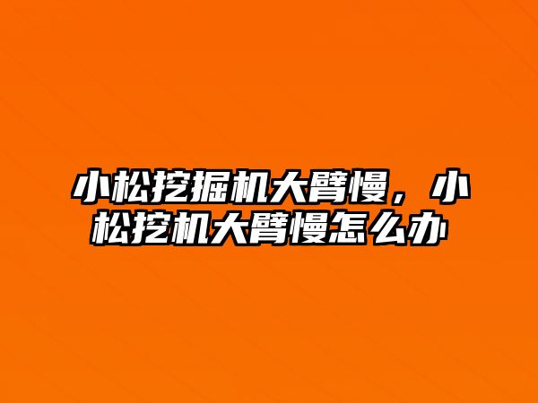 小松挖掘機(jī)大臂慢，小松挖機(jī)大臂慢怎么辦