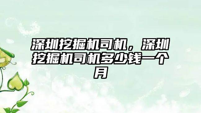 深圳挖掘機司機，深圳挖掘機司機多少錢一個月