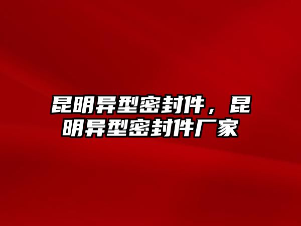 昆明異型密封件，昆明異型密封件廠家