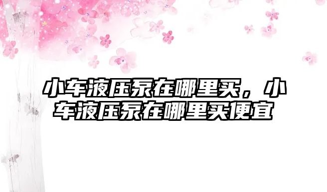 小車液壓泵在哪里買，小車液壓泵在哪里買便宜