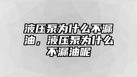 液壓泵為什么不漏油，液壓泵為什么不漏油呢