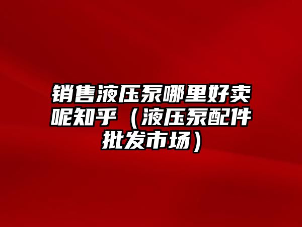 銷售液壓泵哪里好賣呢知乎（液壓泵配件批發(fā)市場）