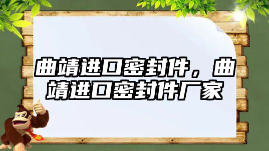 曲靖進(jìn)口密封件，曲靖進(jìn)口密封件廠家