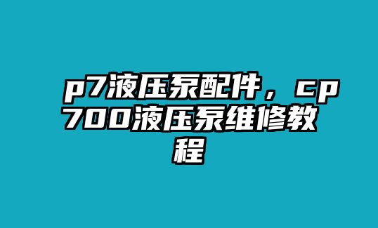 p7液壓泵配件，cp700液壓泵維修教程