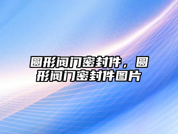 圓形閥門密封件，圓形閥門密封件圖片