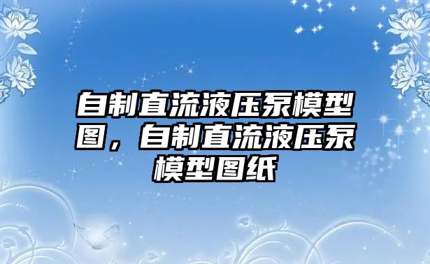 自制直流液壓泵模型圖，自制直流液壓泵模型圖紙