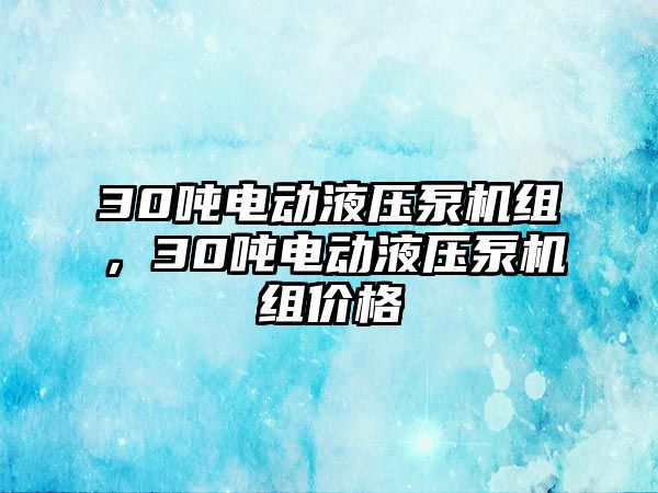 30噸電動液壓泵機組，30噸電動液壓泵機組價格