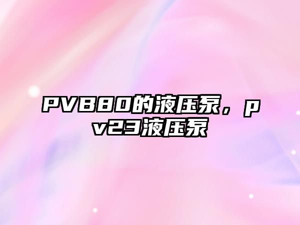 PVB80的液壓泵，pv23液壓泵