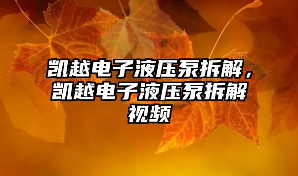 凱越電子液壓泵拆解，凱越電子液壓泵拆解視頻