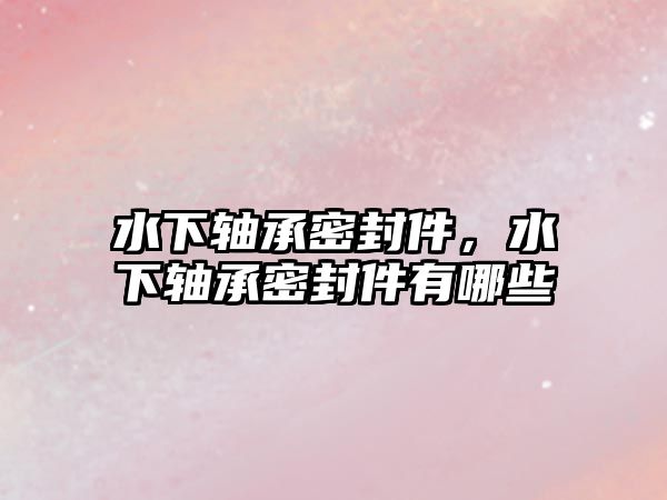 水下軸承密封件，水下軸承密封件有哪些