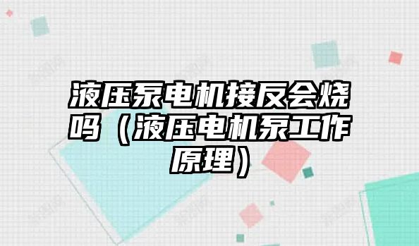 液壓泵電機接反會燒嗎（液壓電機泵工作原理）