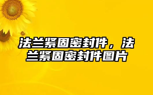 法蘭緊固密封件，法蘭緊固密封件圖片