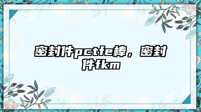 密封件pctfe棒，密封件fkm