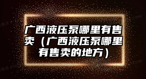 廣西液壓泵哪里有售賣（廣西液壓泵哪里有售賣的地方）