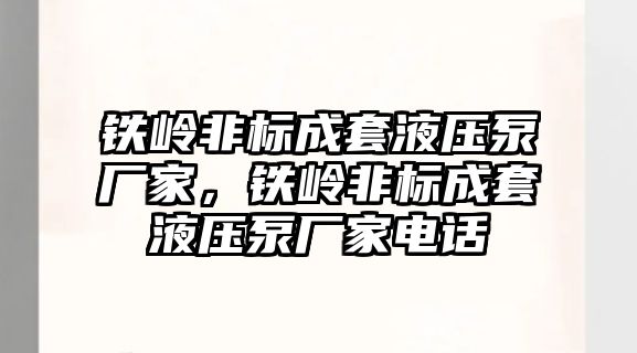 鐵嶺非標成套液壓泵廠家，鐵嶺非標成套液壓泵廠家電話