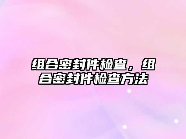 組合密封件檢查，組合密封件檢查方法