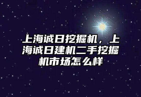 上海誠日挖掘機，上海誠日建機二手挖掘機市場怎么樣